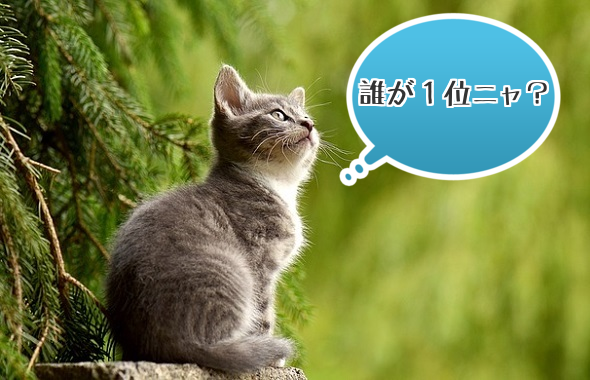 画像つき 世界で最も人気のある猫の種類ランキングトップ１５ ネコワラ