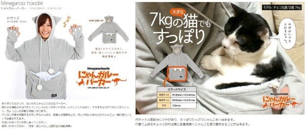 猫の抱っこの仕方５種類を紹介 嫌がる猫でも好きな抱き方は ねこわら