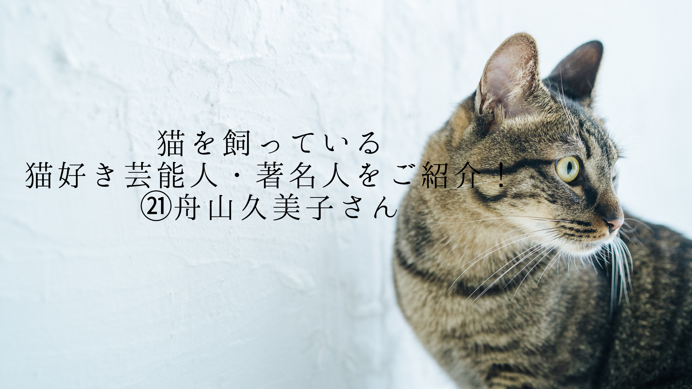 猫を飼っている猫好き芸能人・著名人をご紹介！㉑舟山久美子さん