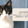 アイキャッチ画像